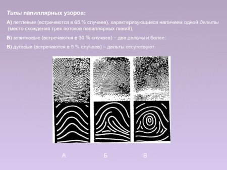 Дактилоскопия Дельта папиллярного узора