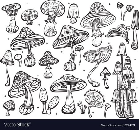 Стилизованный гриб