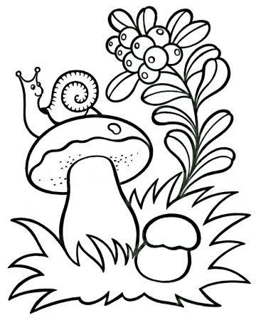 Грибы раскраска для детей