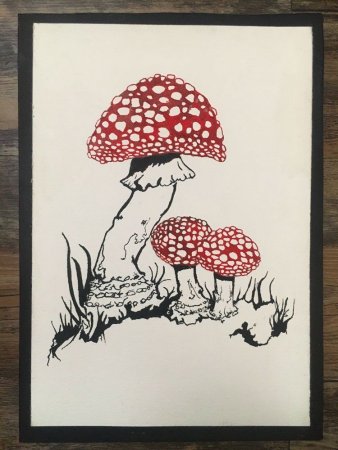 Грибы простым карандашом