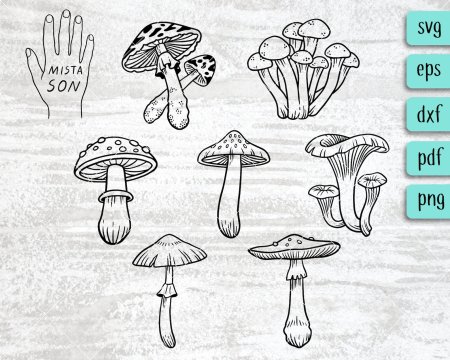 Раскраски для взрослых грибы