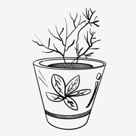 Цветы в горшках