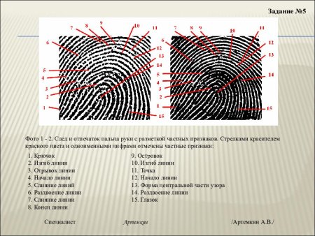 Пирамидальные дуговые папиллярные узоры