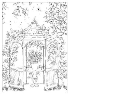 Зимний сад раскраска