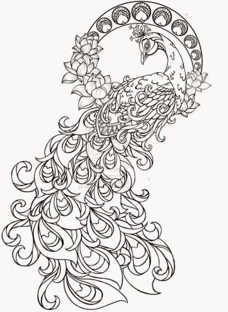 Павлин. Раскраска