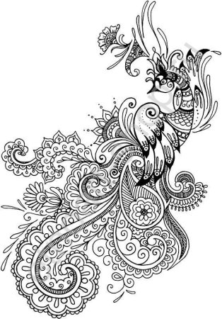 Жар птица раскраска