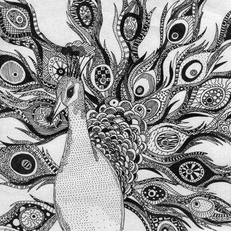 Зентангл Павлин