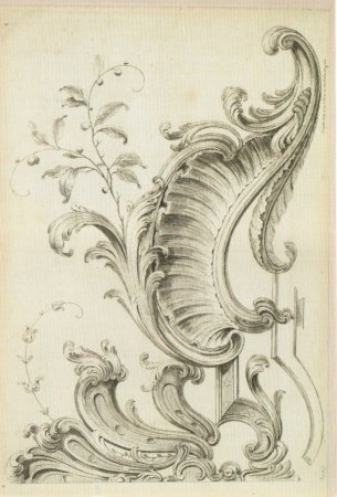 Орнамент рококо Акант