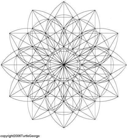 Сакральная геометрия цветок лотоса