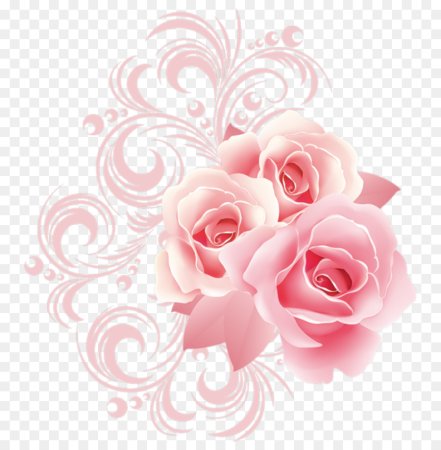 Розовые цветы на прозрачном фоне