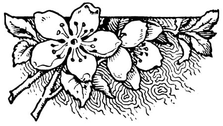 Узоры для выжигания по дереву