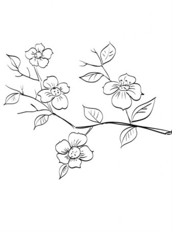 Цветы на ветке раскраска