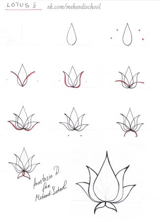 Рисунок лотоса легкий