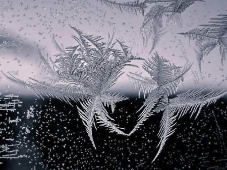 Зимние узоры Графика