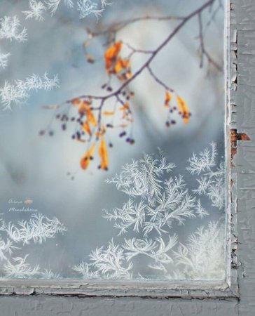 Морозное окно живопись