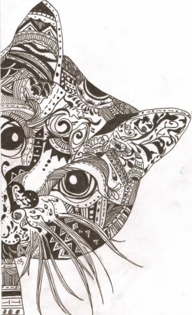 Раскраски для девочек антистресс котята