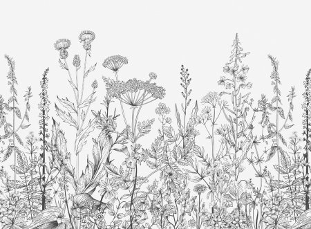 Полевые цветы Графика