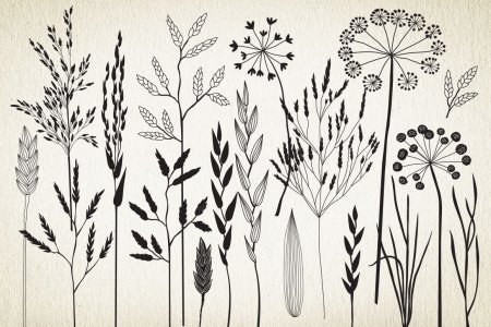 Стилизация растений