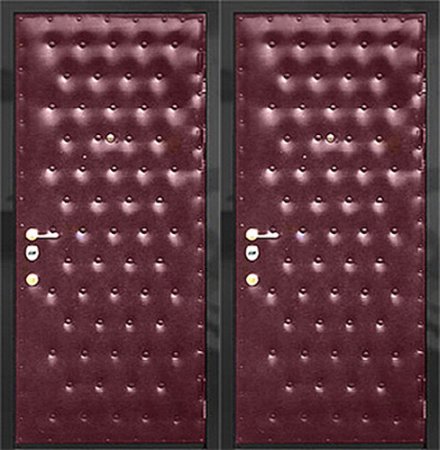 Двери винилискожа