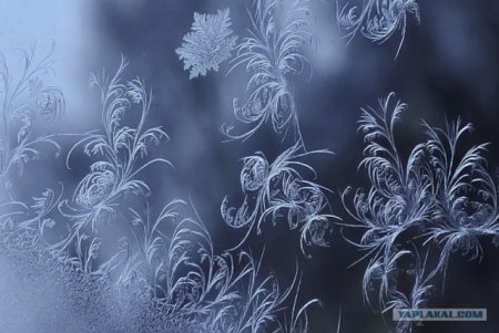 Константин Бальмонт морозные узоры