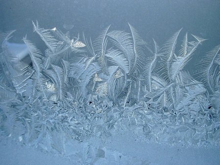 Узоры на стекле от Мороза