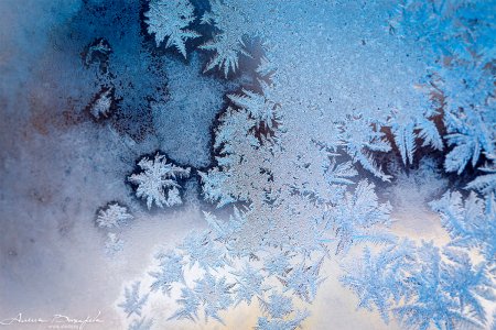 Зимние узоры