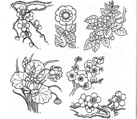 Цветочно-растительные мотивы