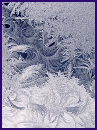 Ледяное кружево