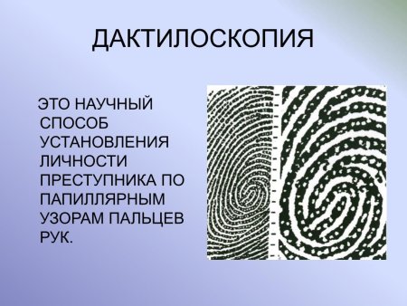 Дактилоскопия папиллярные узоры