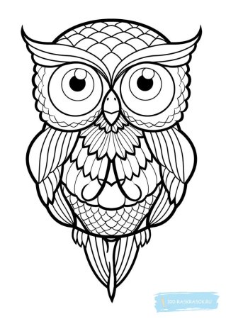 Сова раскраска