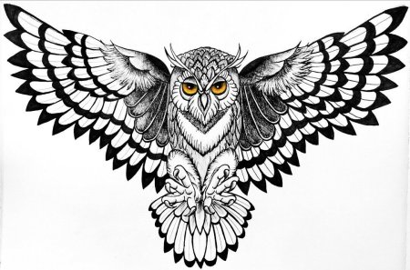 Сова тату эскиз