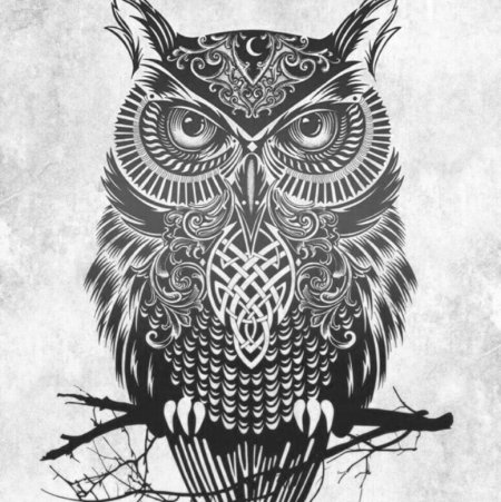 Сова тату эскиз