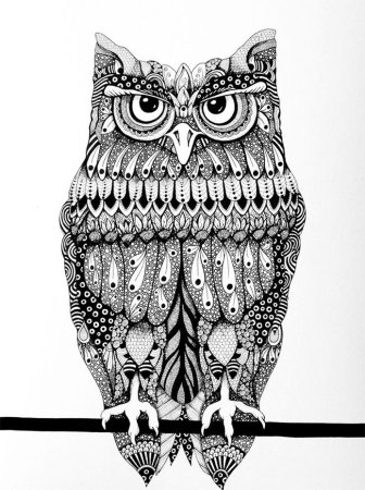 Зентангл Сова