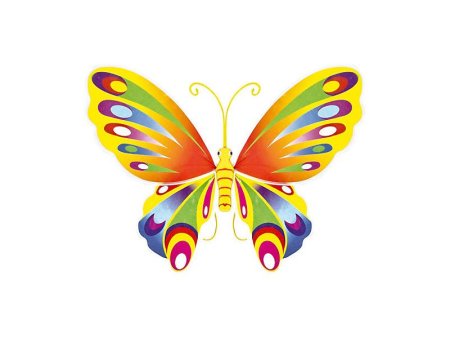 Узоры на крыльях бабочки