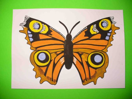 Узоры на крыльях бабочки