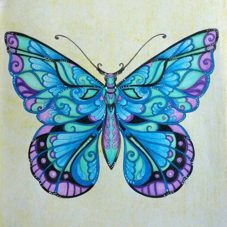 Узоры на крыльях