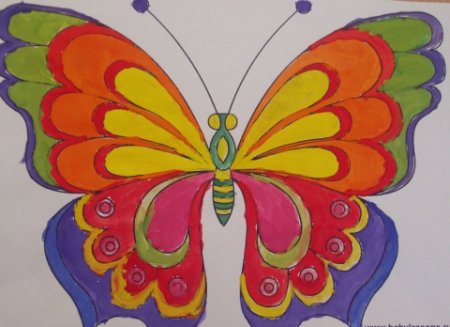 Бабочка изо