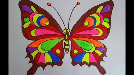 Красивая бабочка из пластилина
