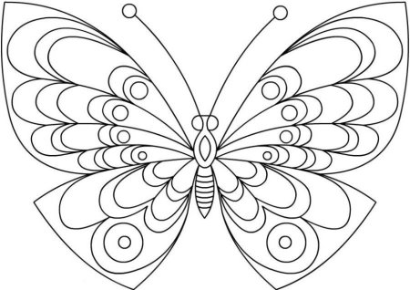 Раскраска "бабочки"