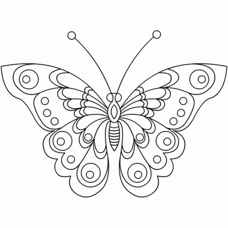 Бабочка рисунок