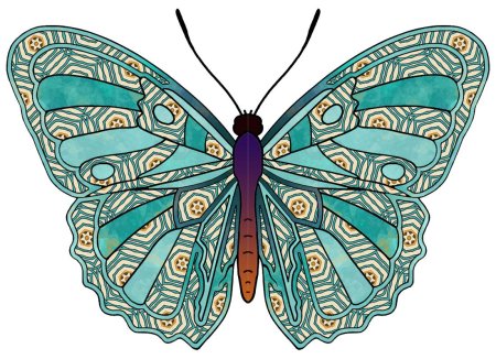 Узоры на крыльях