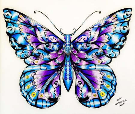 Раскрашенные бабочки