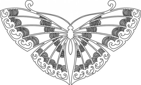 Раскраска "бабочки"