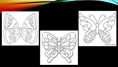 Узоры на крыльях бабочки