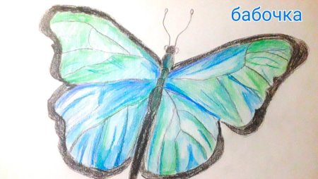 Бабочка цветными карандашами для детей