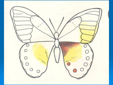 Урок изо рисование бабочки