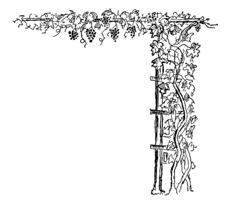 Орнамент из виноградной лозы