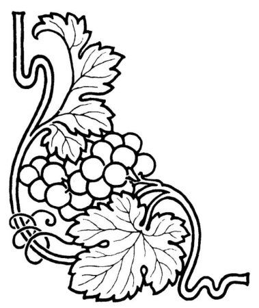 Виноградная лоза орнамент Грузии Ермолова