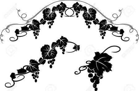 Векторный узор виноград
