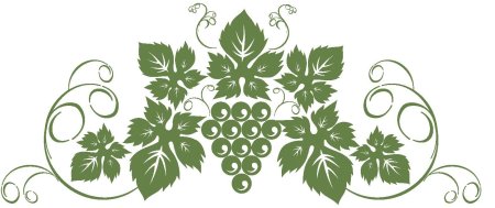 Виноградная лоза вектор вектор